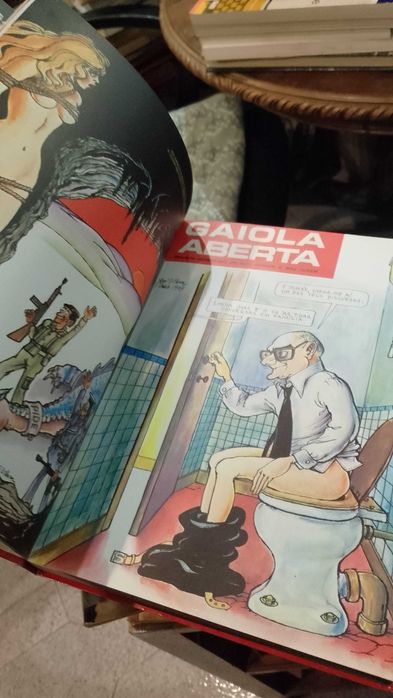 Um Ano com a Gaiola Aberta José Vilhena