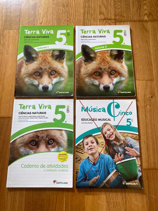 Livros escolares de 6º, 5º, 4º e 2º anos