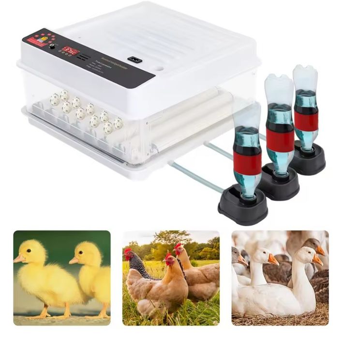 Chocadeira automática - até 36 ovos de Galinha