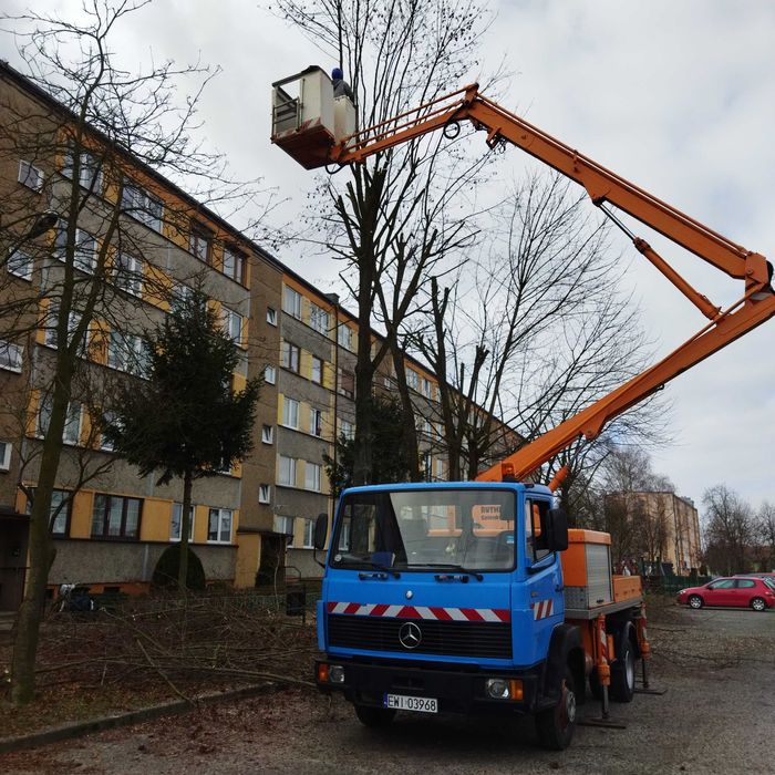 Wycinka drzew kompleksowo wywóz rębak frezowanie pni