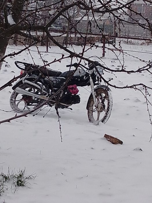 Продам мопед альфа 110