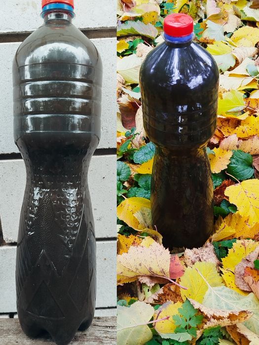 Добриво для квітів, курячий послід