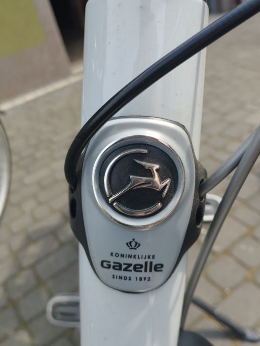Rower Gazelle Chamonix Comfort  C8
