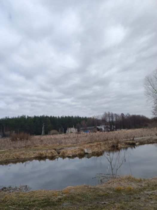 Земельна ділянка під забудову  межує з лісом  р-н  Вакуленці