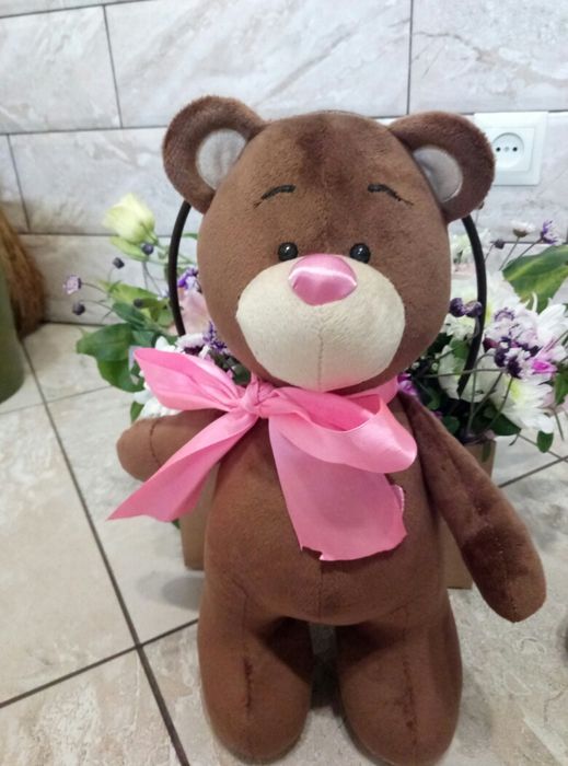 Новая игрушка Мишка