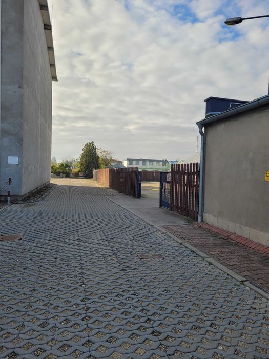 lokal użytkowy do wynajęcia