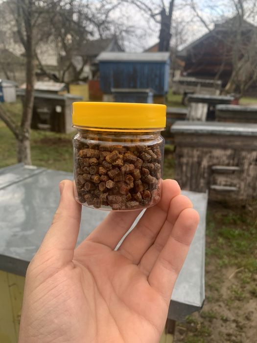 Перга  бджолинна