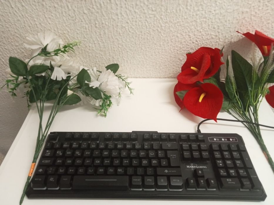 Teclado (bom estado)