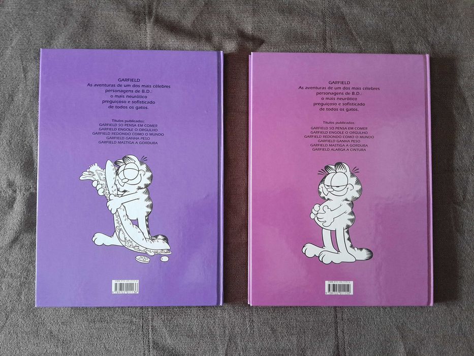 Garfield (Dom Quixote)