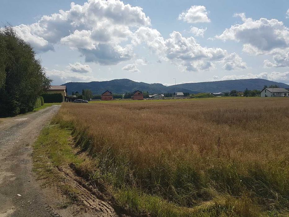 Wydzierżawię 40 arów ziemi rolnej – Roczyny, ul. Środkowa | klasa R III b, płaska działka, dobry dojazd, 300 zł/rok | dopłaty dla rolnika | pod zboża - Widok 5