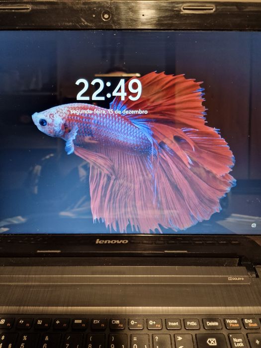 Portátil Lenovo G50 - Windows 11 - 8 Gb ram - Ssd 250 Gb.
Windows 11 +