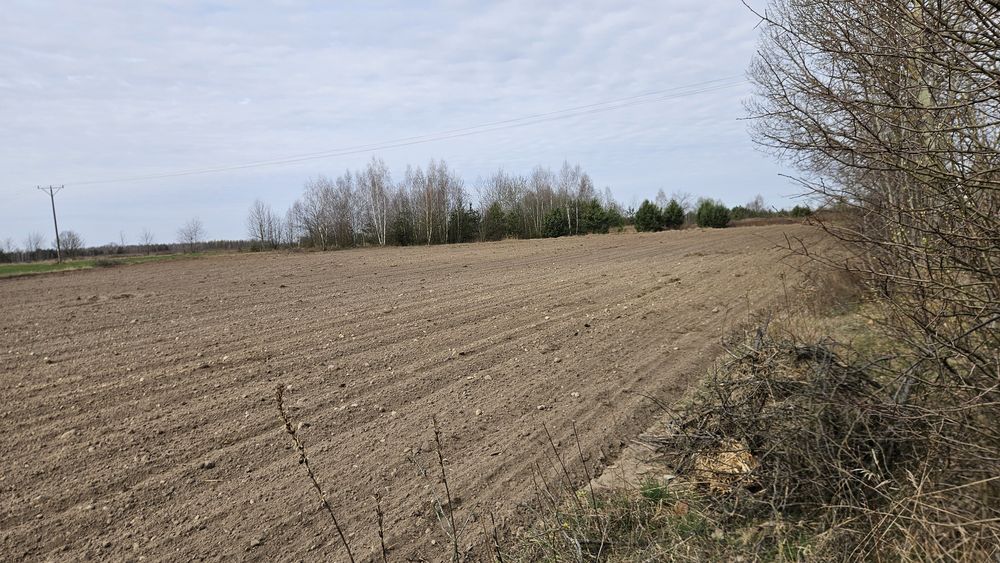 Działka pod budowę Ruda Szostkowska - Widok 4