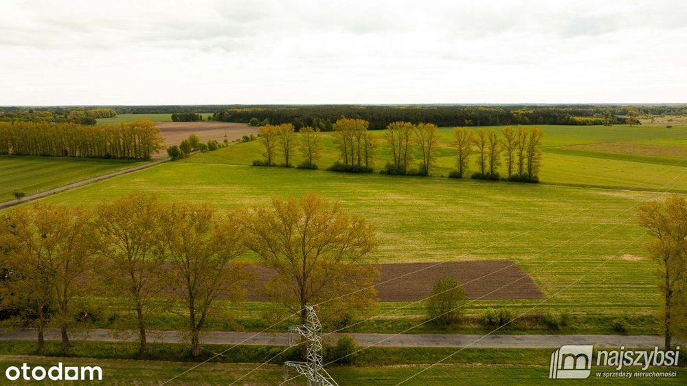 Dąbrowa Nowogardzka-działki z warunkami zabudowy