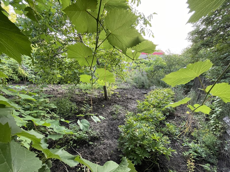 Дом, участок 16 соток (под застройку)