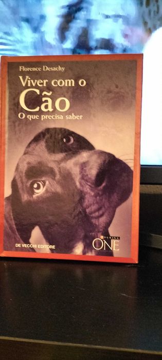 Viver com um cão - o que precisa saber