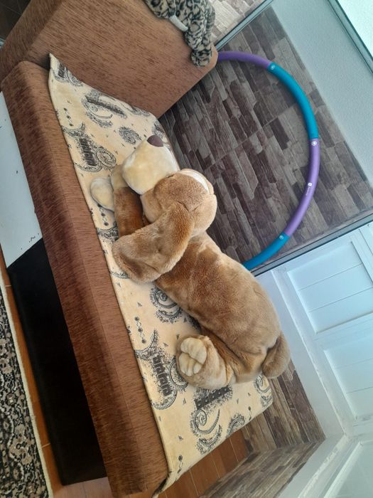 Cão Grande em peluche castanho