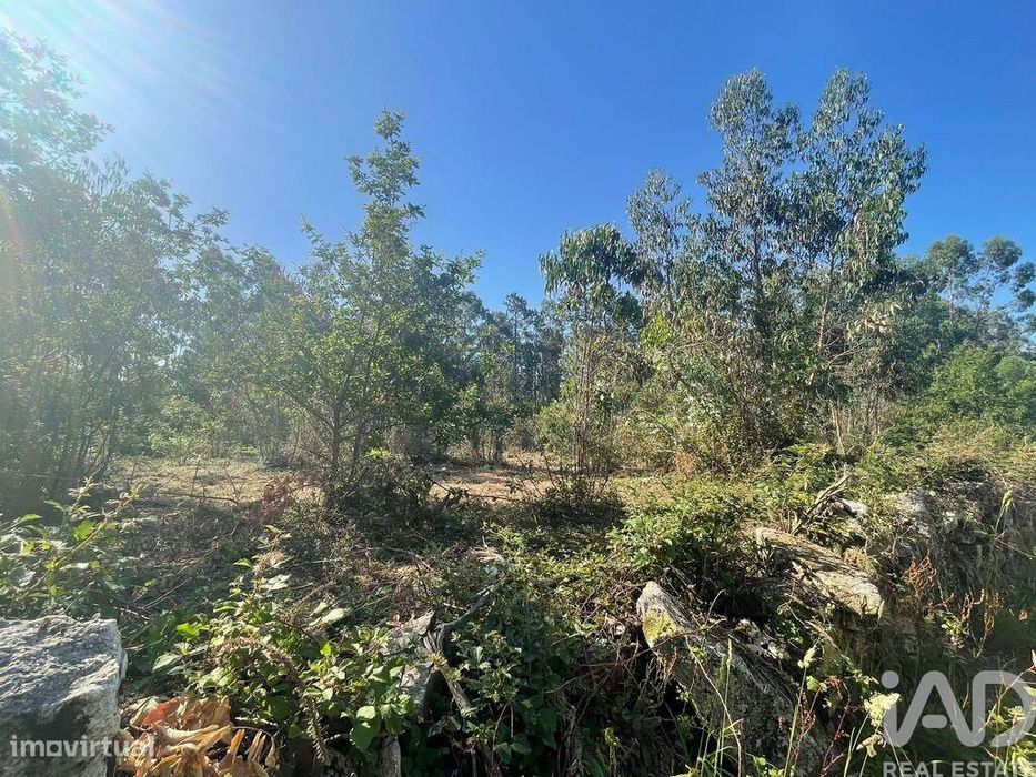 Terreno em Vila de Punhe de 4388,00 m2