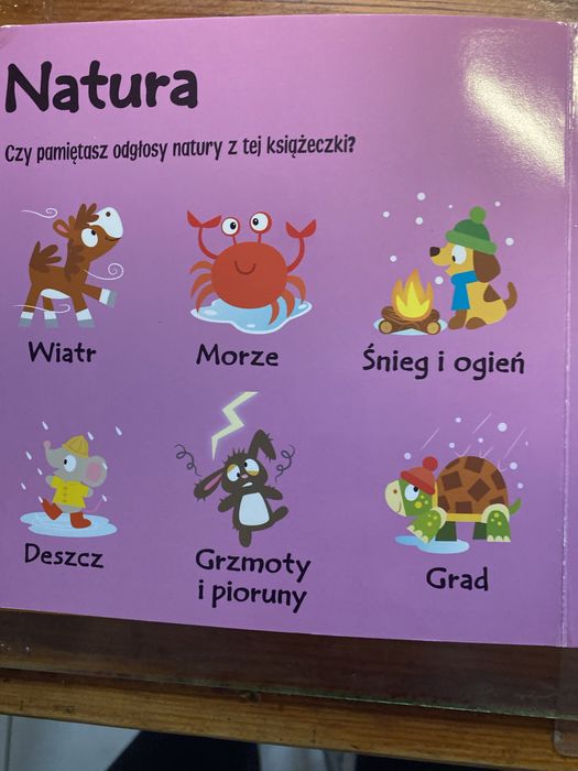 Ksiażeczka „poznaję dźwięki , odglosy natury”