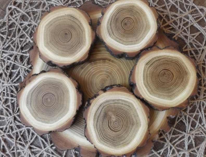 Спили акації для декору