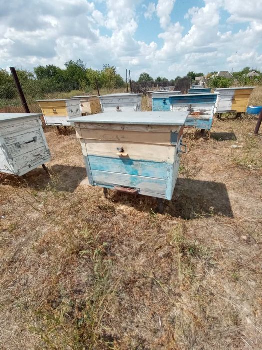 Продам вулики + інвентар