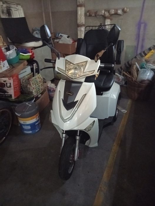 Mota Elétrica Goose R3