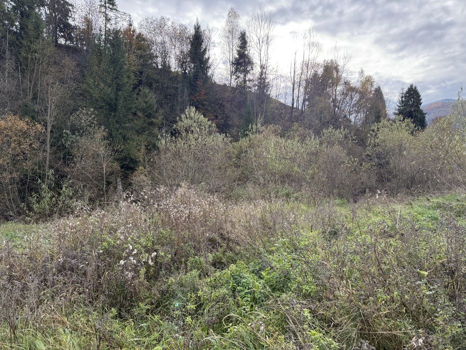 Продається ділянка у с. Подобовець гори Карпати