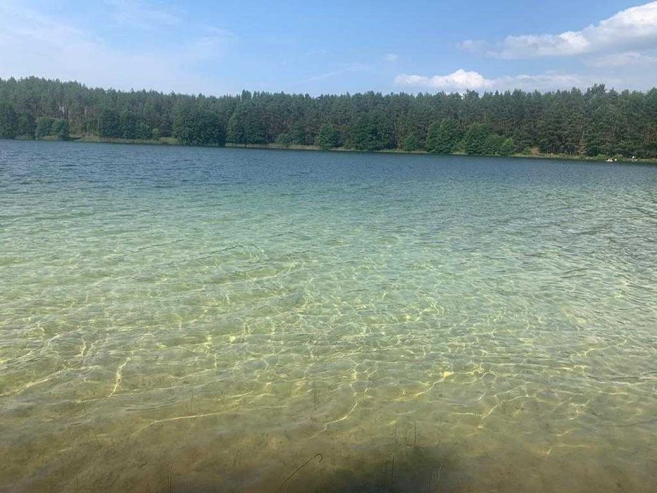 Smerfna Chatka domek z kominkiem na Kaszubach ferie majówka wakacje