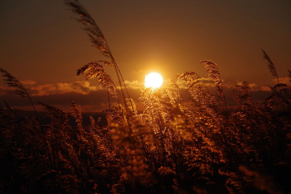 Pentax K-S2 z obiektywem Pentax 18-135 mm