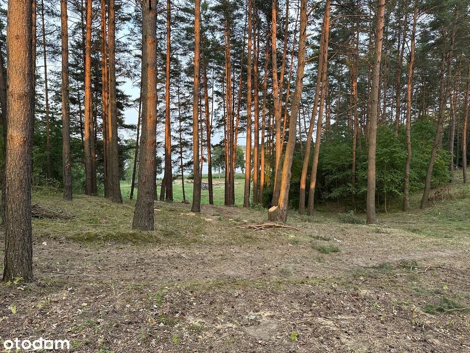 Narty - działka z linią brzegową jeziora Świętajno