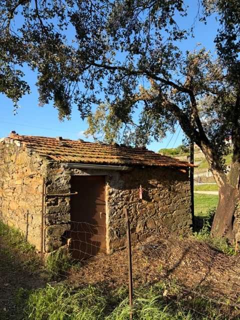 Terreno em rua do Casal do Porto, 139, Vila Facaia, Pedrogão Grande 2.897 m²
