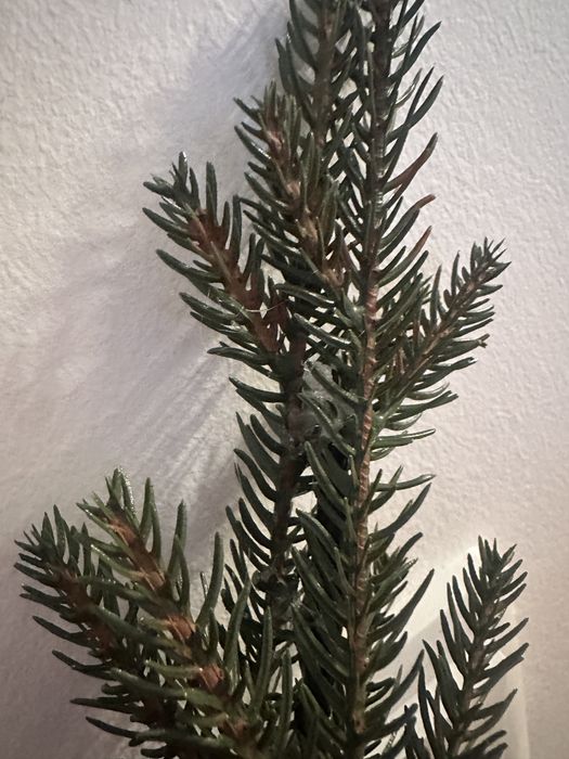 Girlanda świerk 110cm