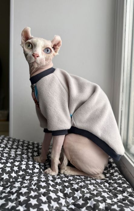 Одяг для сфінксів, одяг для котів, теплий одяг для сфінксів