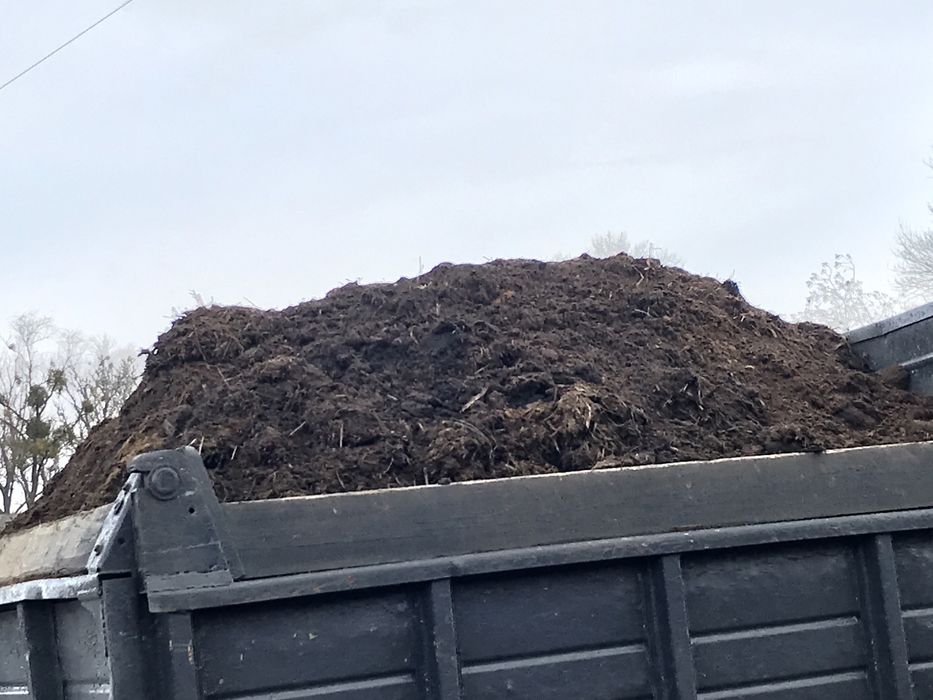 Продам  Коровяк