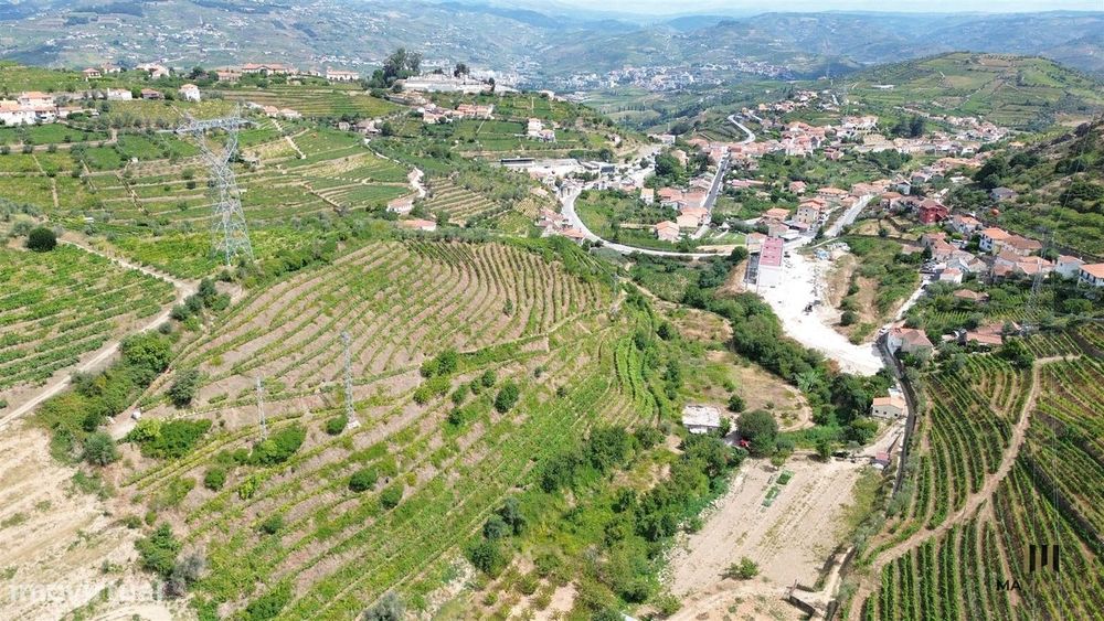 Quinta Das Lamas | + De 2 Hectares | Douro