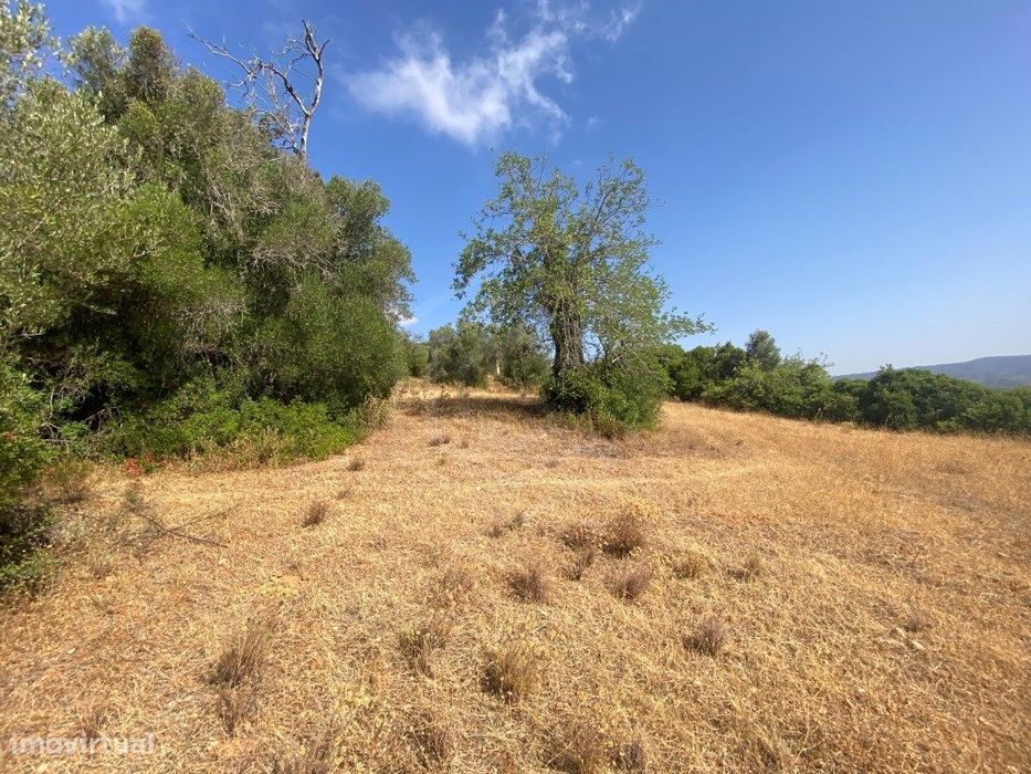 Lote de Terreno Rústico no Serro dos Passarinhos, Loulé, Algarve