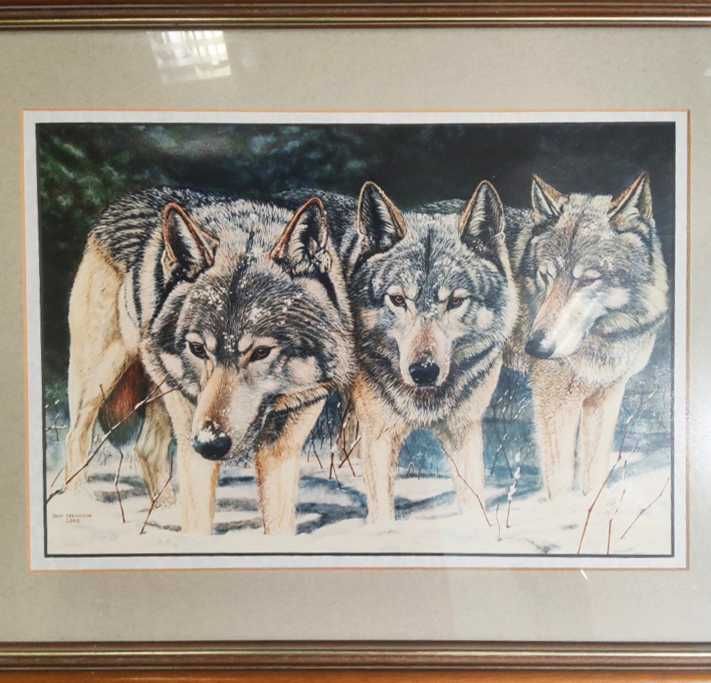 Conjunto de 3 Quadros Impressão Limitada