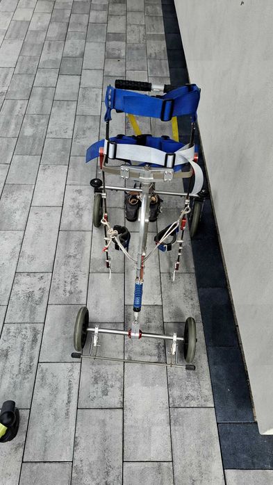 Chodzik nf walker