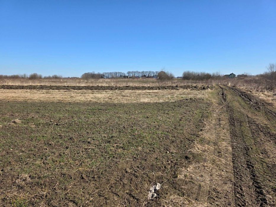 Ділянка с. Давидів під будівництво біля лісу 20 соток