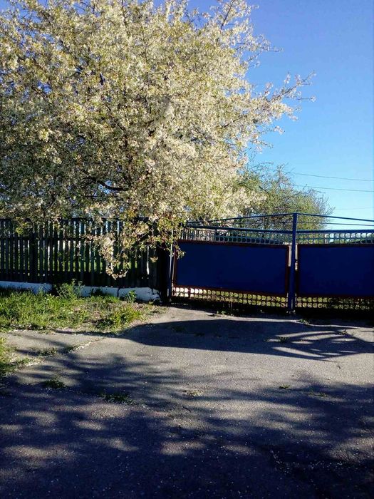 Простір і Свобода у власному домі в Приворітʼї, Брусилівський район