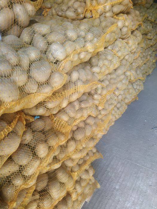 Ziemniaki jadalne żółte