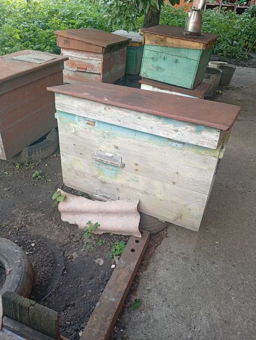 Продам вулики 350 грн