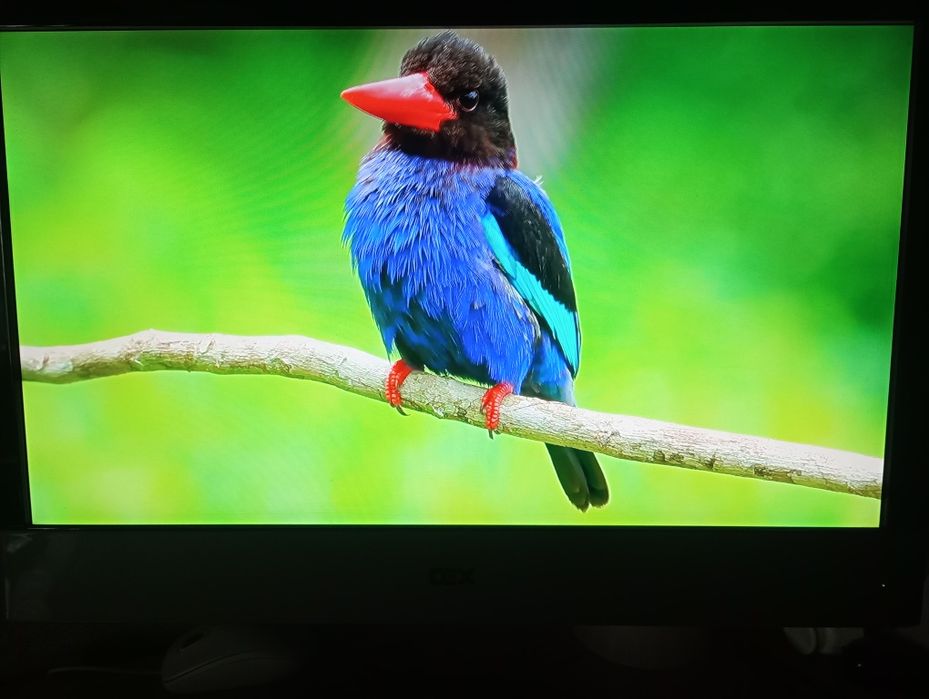 DEX LD-2220 з вбудованим DVD player