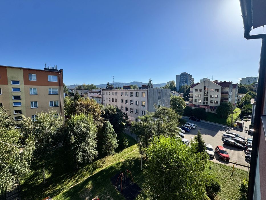 Zdjęcie 6
