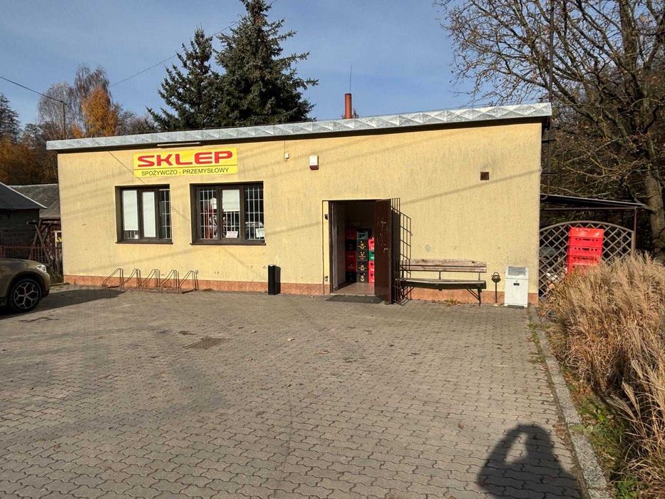 lokal usługowy/sklep do wynajęcia