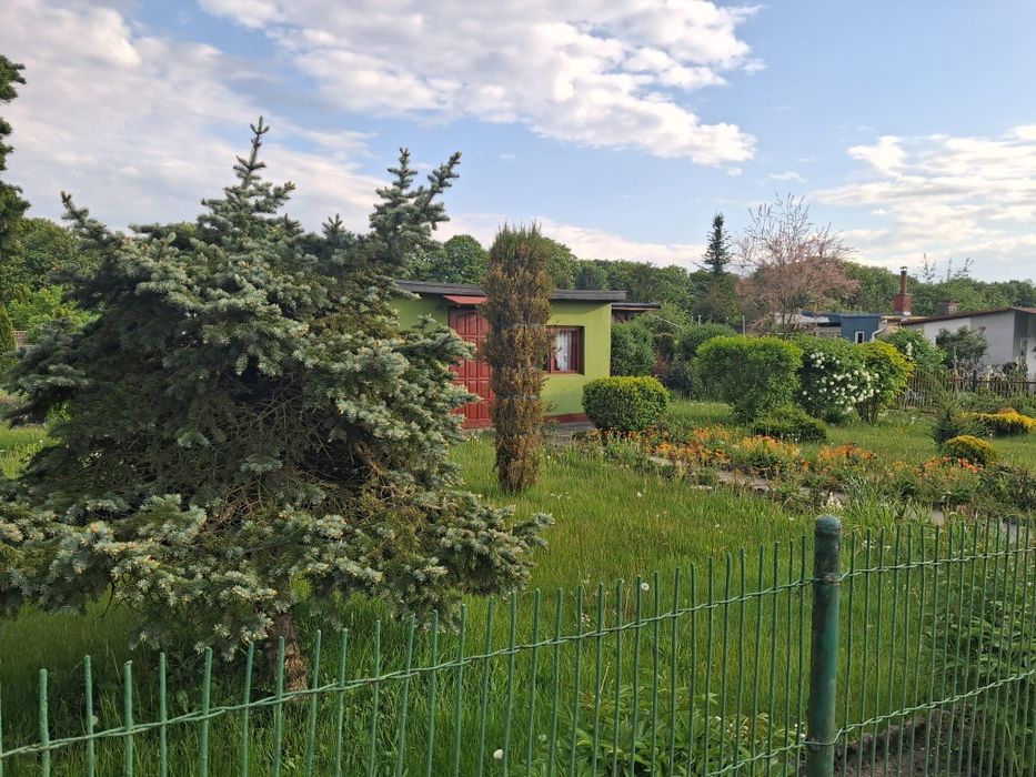 Ogródek działkowy zadbany Rod Slońce os.Janek - Widok 2