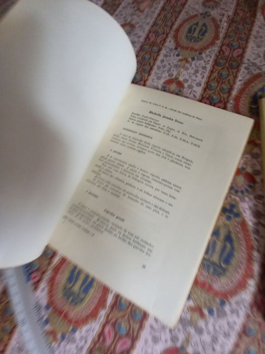 O Estudo das Madeiras de Timor 2 volumes