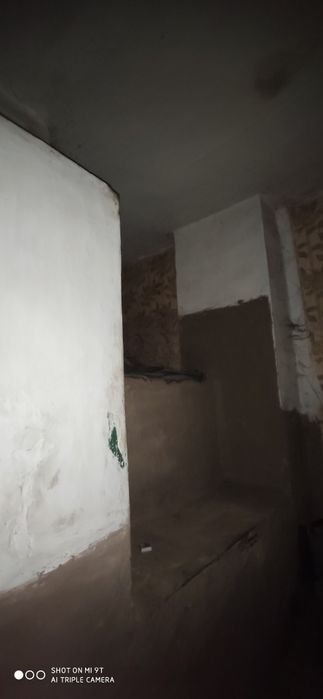 Продам добротний будинок біля річки Десна в селі Надинівка