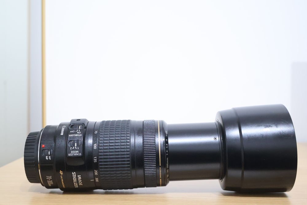 Canon EF 70-300 mm F/4-5.6 IS USM