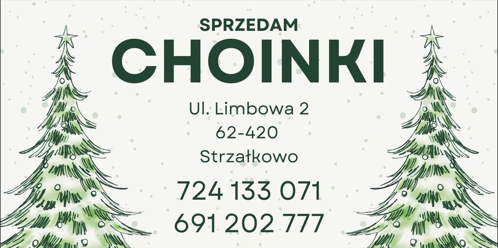 Choinka Bożonarodzeniowa Jodła  Świerk Pospolity Srebrny Serbski