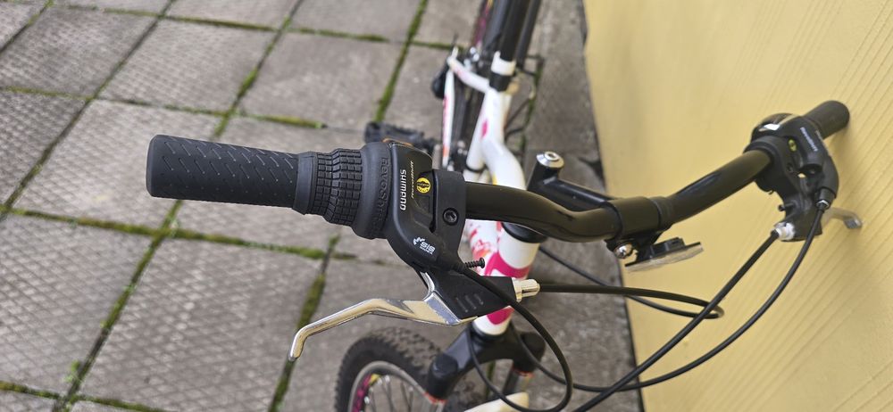 Велосипед для дівчинки підлітковий Fort 24 Girl Series